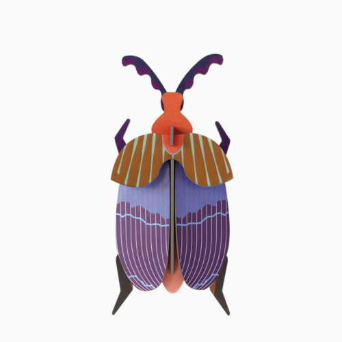 Queen-Beetle studio roof