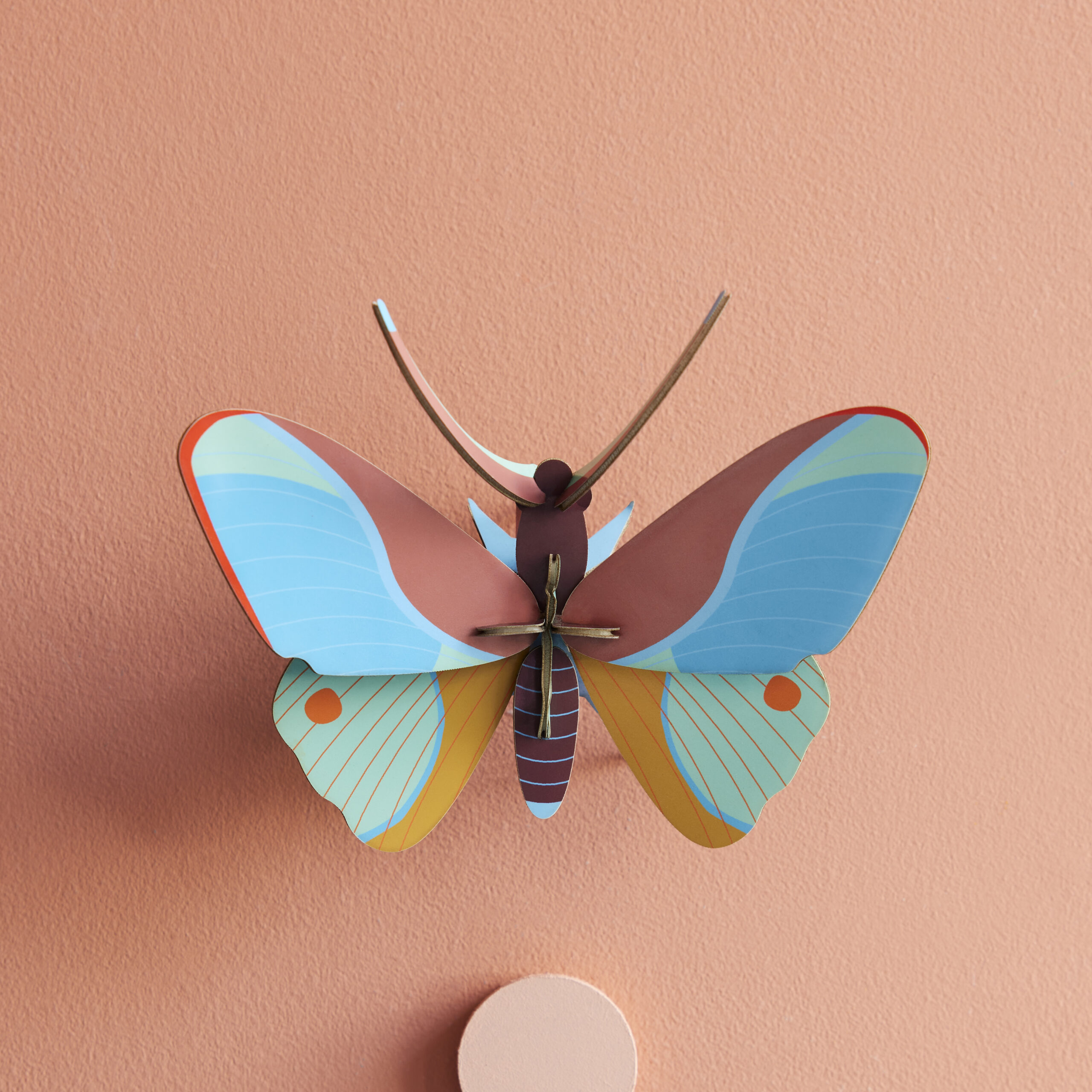 Claudina_Butterfly - bunter Schmetterling aus Papier in 3D als Wanddekoration von der Firma studio Roof auf rosefarbenem Hintergrund