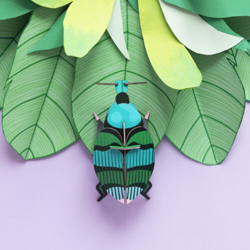 Weevil Beetle- gemusterter Ruesselkaefer aus Papier in 3D als Wanddekoration von der Firma studio Roof mit Dekoration auf lila Hintergrund