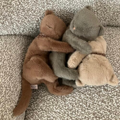 3 schlafende Kätzchen in den Farben Nougat, Creme und grau aus Plüsch von Maileg